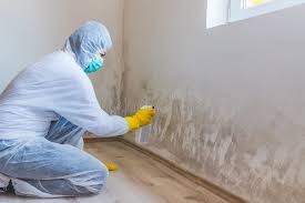 Best Asbestos and Lead Testing During Mold Inspection in Nicholasville, KY